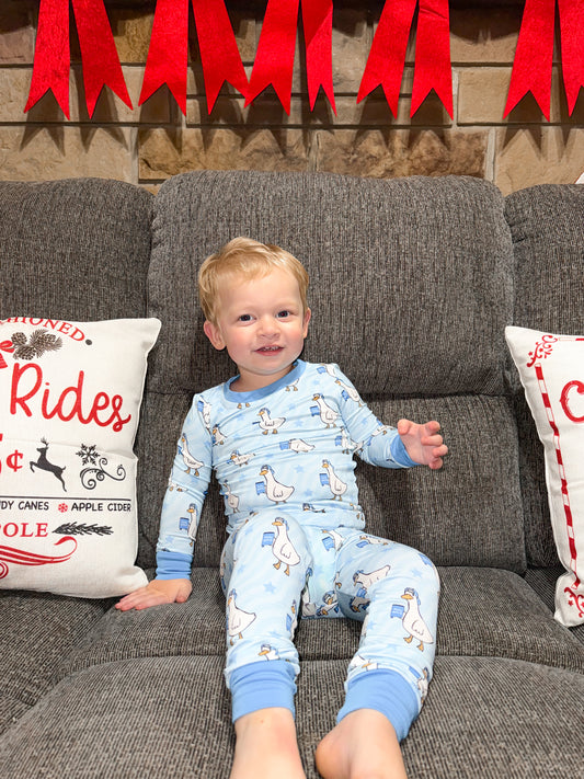 rts-silly goose boys set