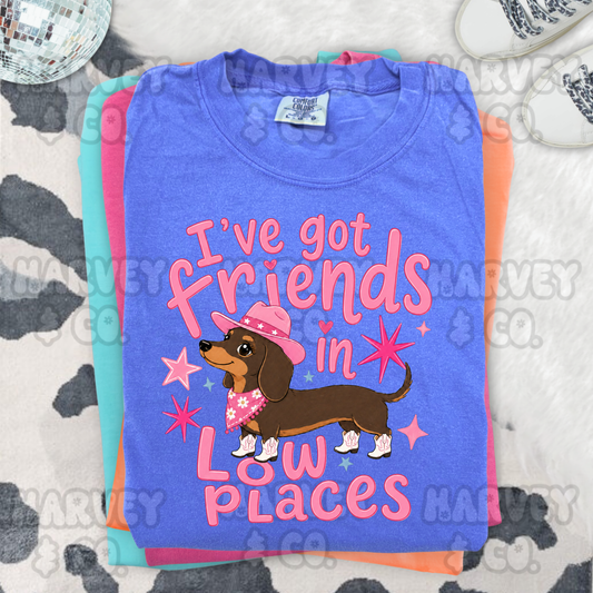 friends in low places tee✦